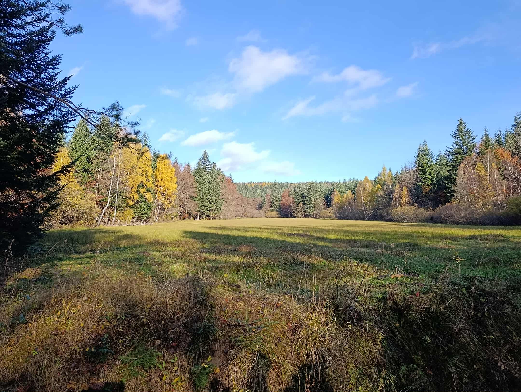 Rajd integracyjny w ramach projektu „Edukacja włączająca w gorlickich szkołach”