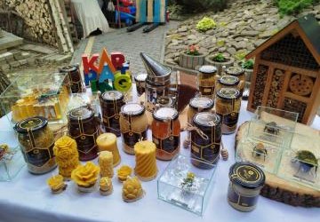 Życie i znaczenie pszczół