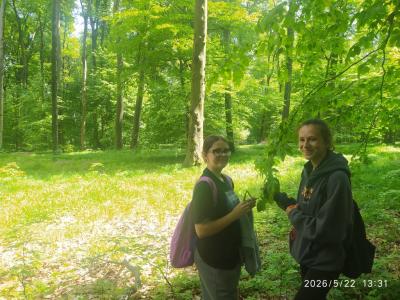 IMG_20260522_133115.jpg