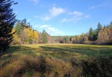 Rajd integracyjny w ramach projektu „Edukacja włączająca w gorlickich szkołach”